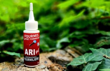 Comment Traiter les Infestations de Fourmis : Guide Pratique avec Ari Gel